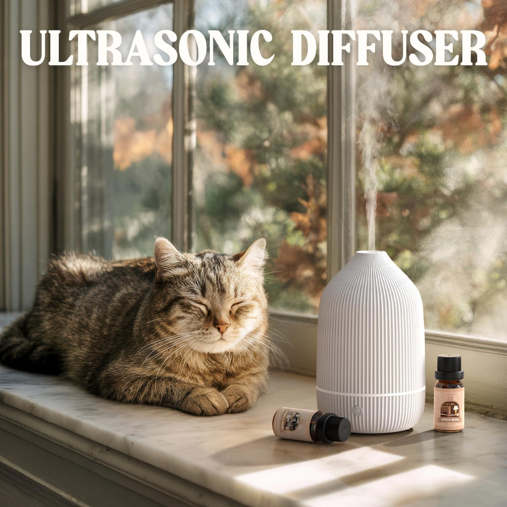 100ml Essential Oil Diffuser – Mini Ultrasonic Aromatherapy Diffuser & Cool Mist Humidifier with 7 LED Lights, Auto Shut-Off