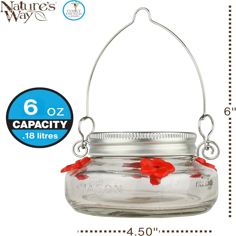 Hummingbird Feeder – Mason Jar Glass Dish Feeder for Outdoor Garden Bird Feeding