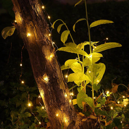 2-Pack Fairy String Lights – 20ft 60 LED Battery Operated Copper Wire Lights with Remote
