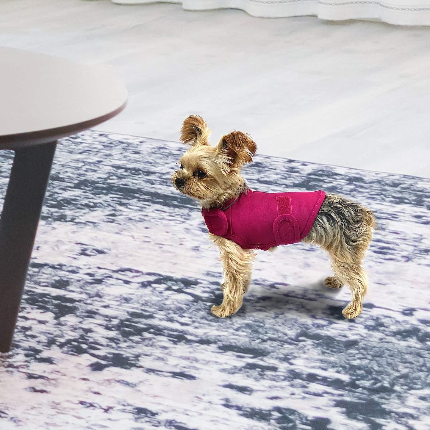  Comfort Dog Anxiety Relief Coat, Dog Anxiety Calming Vest Wrap for Thunderstorm,Travel,4th of July Fireworks,Vet Visits,Separation Anxiety Relief for Dogs (X-Small (Pack of 1), Rose)
