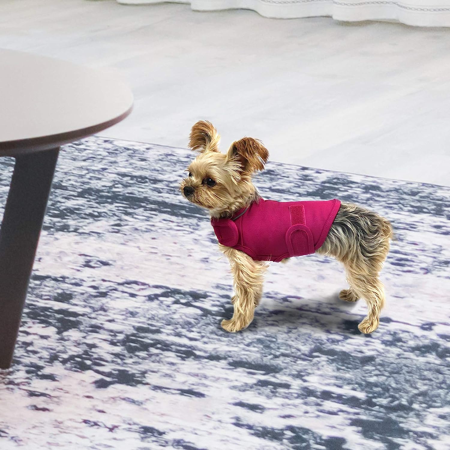  Comfort Dog Anxiety Relief Coat, Dog Anxiety Calming Vest Wrap for Thunderstorm,Travel,4th of July Fireworks,Vet Visits,Separation Anxiety Relief for Dogs (X-Small (Pack of 1), Rose)
