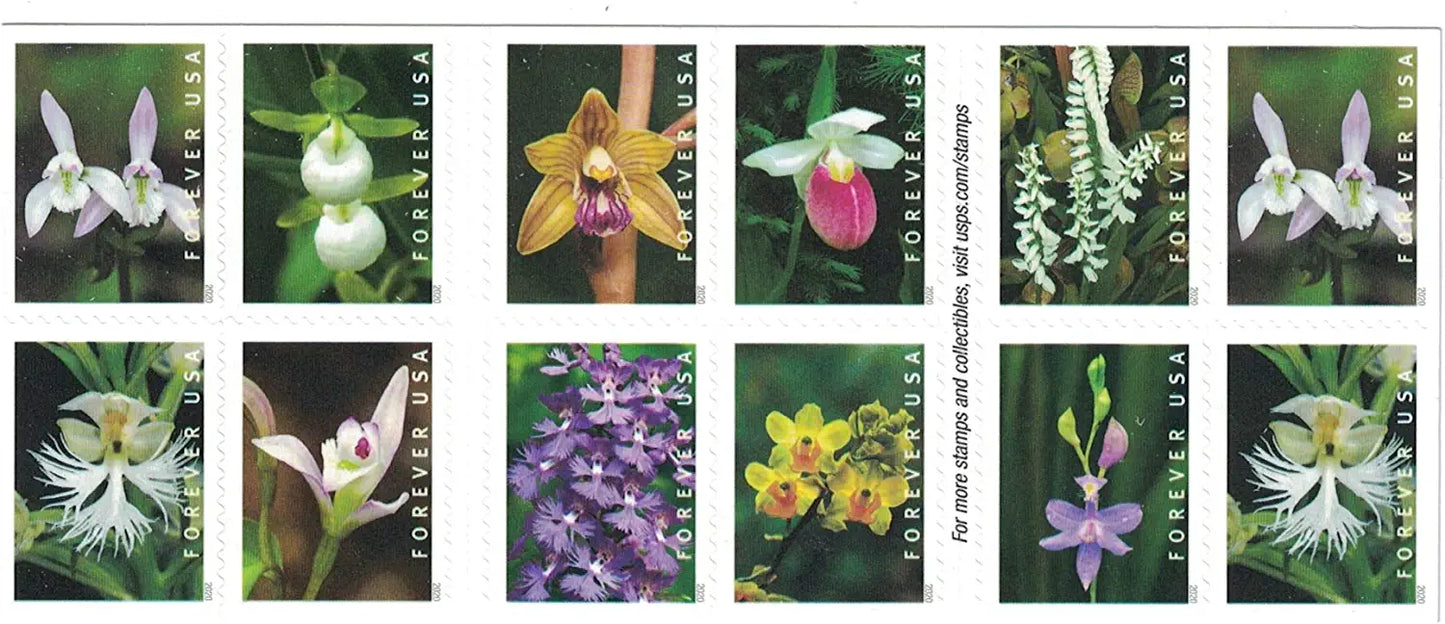 USPS Wild Orchids 2020 Forever Stamps - Booklet of 20 Postage Stamps