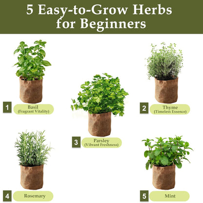 5-Pack Herb Garden Planter Kit – Indoor Kitchen Growing Use – Wooden Box with Basil, Thyme, Parsley, Rosemary & Mint Seeds – Home Gardening Gift Set