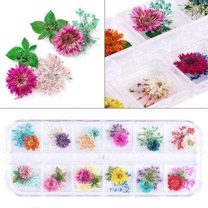 Acrylic Dried Flower Nail Art Set