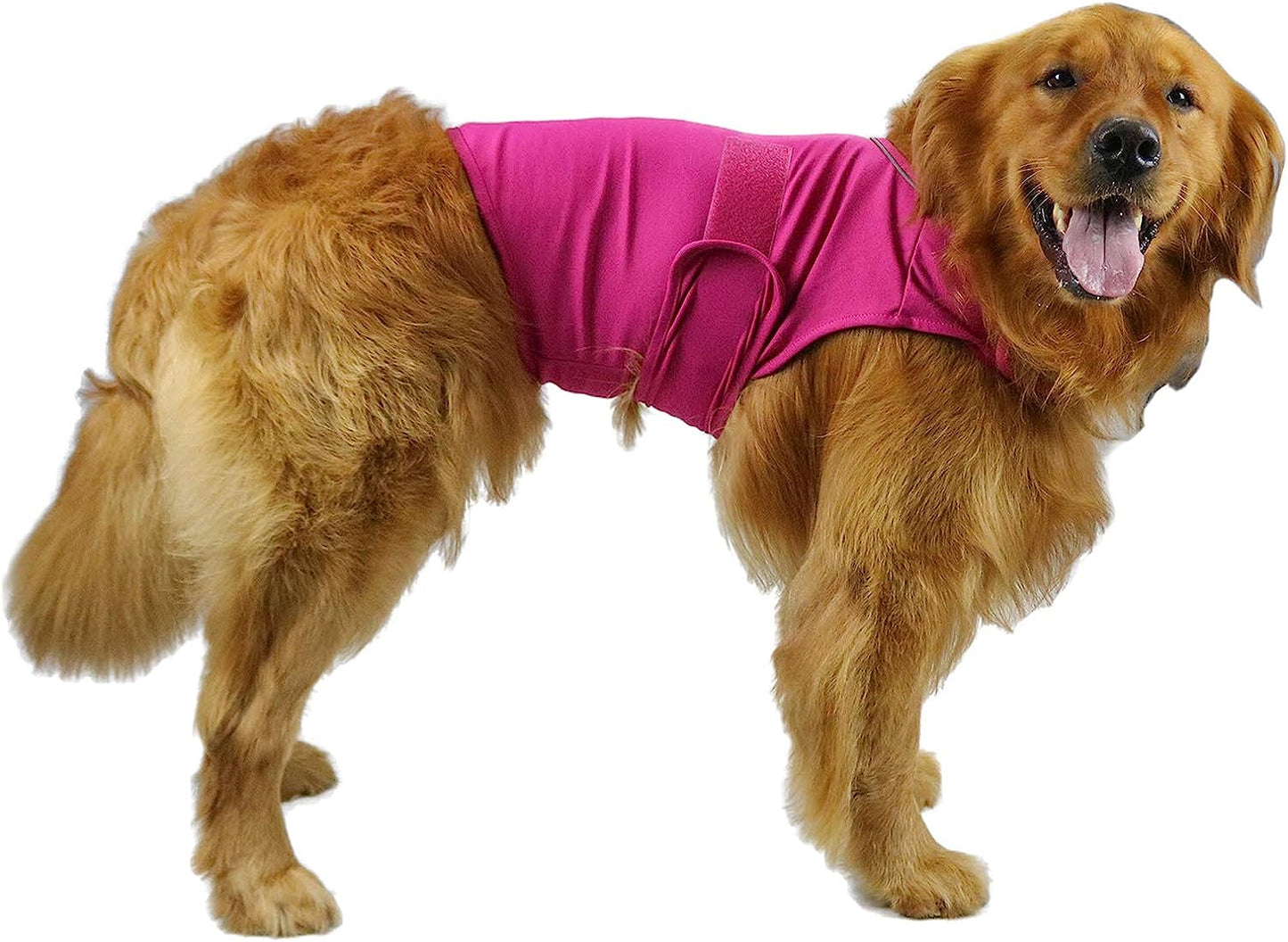  Comfort Dog Anxiety Relief Coat, Dog Anxiety Calming Vest Wrap for Thunderstorm,Travel,4th of July Fireworks,Vet Visits,Separation Anxiety Relief for Dogs (X-Small (Pack of 1), Rose)