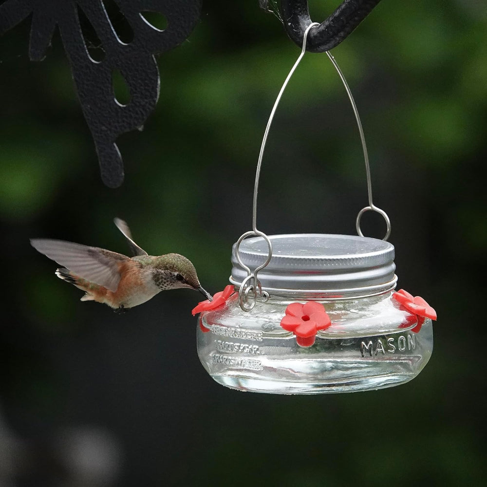 Hummingbird Feeder – Mason Jar Glass Dish Feeder for Outdoor Garden Bird Feeding