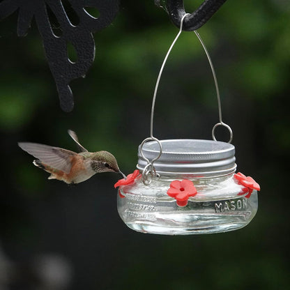 Hummingbird Feeder – Mason Jar Glass Dish Feeder for Outdoor Garden Bird Feeding