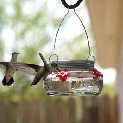 Hummingbird Feeder – Mason Jar Glass Dish Feeder for Outdoor Garden Bird Feeding