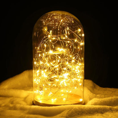 2-Pack Fairy String Lights – 20ft 60 LED Battery Operated Copper Wire Lights with Remote