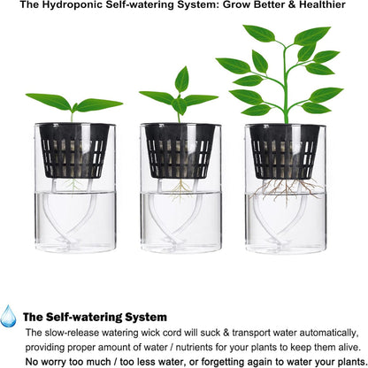 12-Pack Net Cups Pots – 3 Inch Hydroponic Mesh Planters with Wick System & Plant Labels