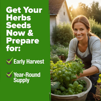 Variety Herb Seeds Kit – 3000+ Heirloom Non GMO Seeds, Indoor Outdoor Planting