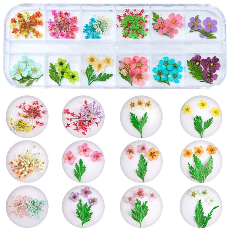 Acrylic Dried Flower Nail Art Set