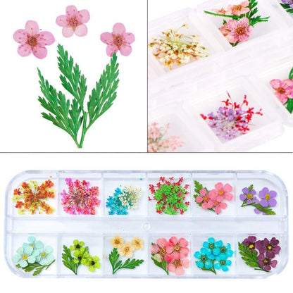 Acrylic Dried Flower Nail Art Set