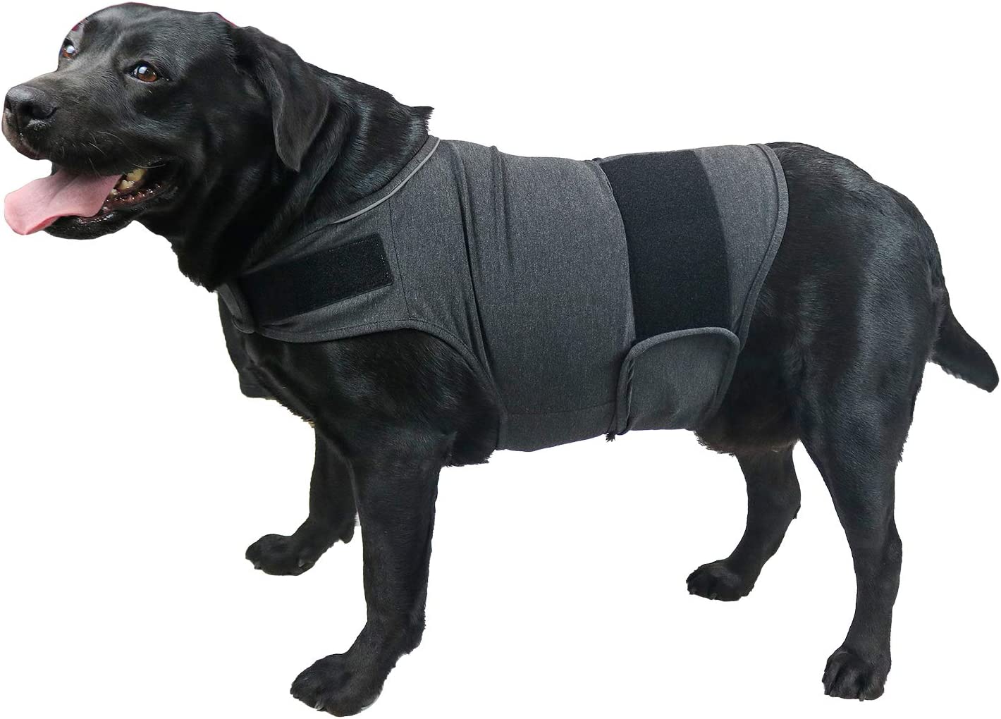  Comfort Dog Anxiety Relief Coat, Dog Anxiety Calming Vest Wrap for Thunderstorm,Travel,4th of July Fireworks,Vet Visits,Separation Anxiety Relief for Dogs (X-Small (Pack of 1), Rose)