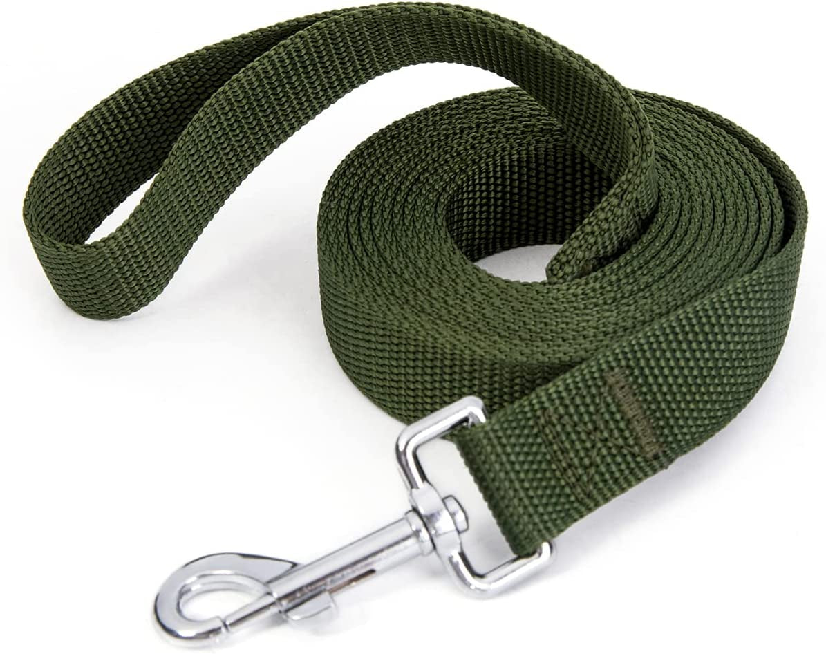 Strong Durable Nylon Dog Training Leash, Traction Rope, 10 Feet Long, 1 Inch Wide, for Small and Medium Dog 