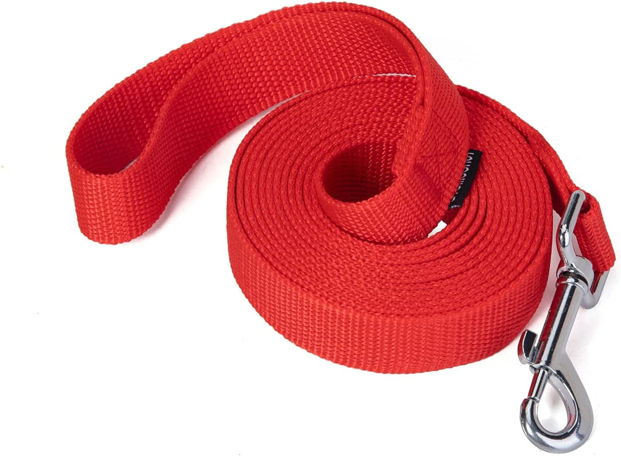 Strong Durable Nylon Dog Training Leash, Traction Rope, 10 Feet Long, 1 Inch Wide, for Small and Medium Dog 