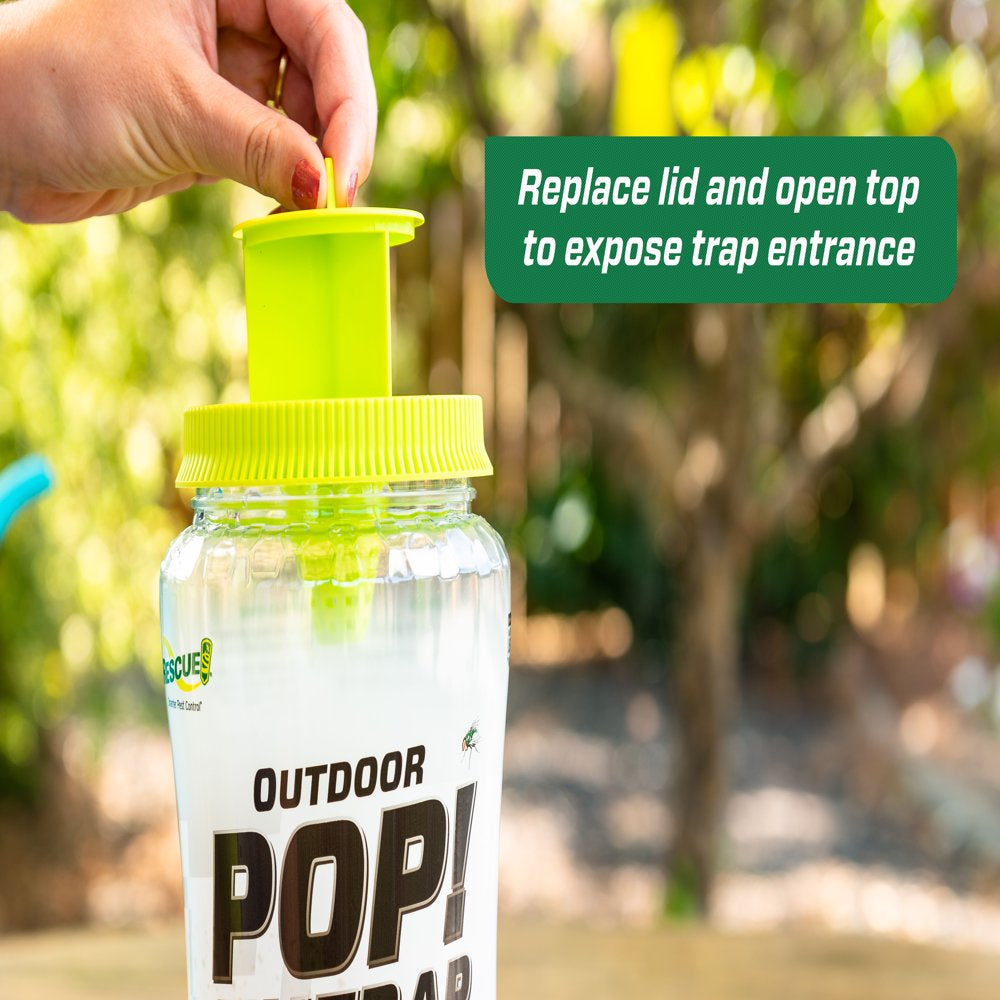  Reusable Outdoor Fly Trap, 1 Pack