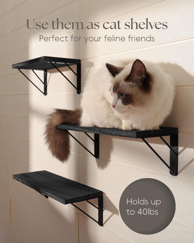 Wall Mounted Floating Shelves for Storage and Decor, Rustic Wood Shelves for Any Room