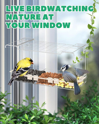 Clear Window Bird Feeder – Outdoor Bird Feeder with 5 Perching Stands, Self-Adhesive Hooks, Drain Holes & Removable Tray, Garden Decor Birdhouse