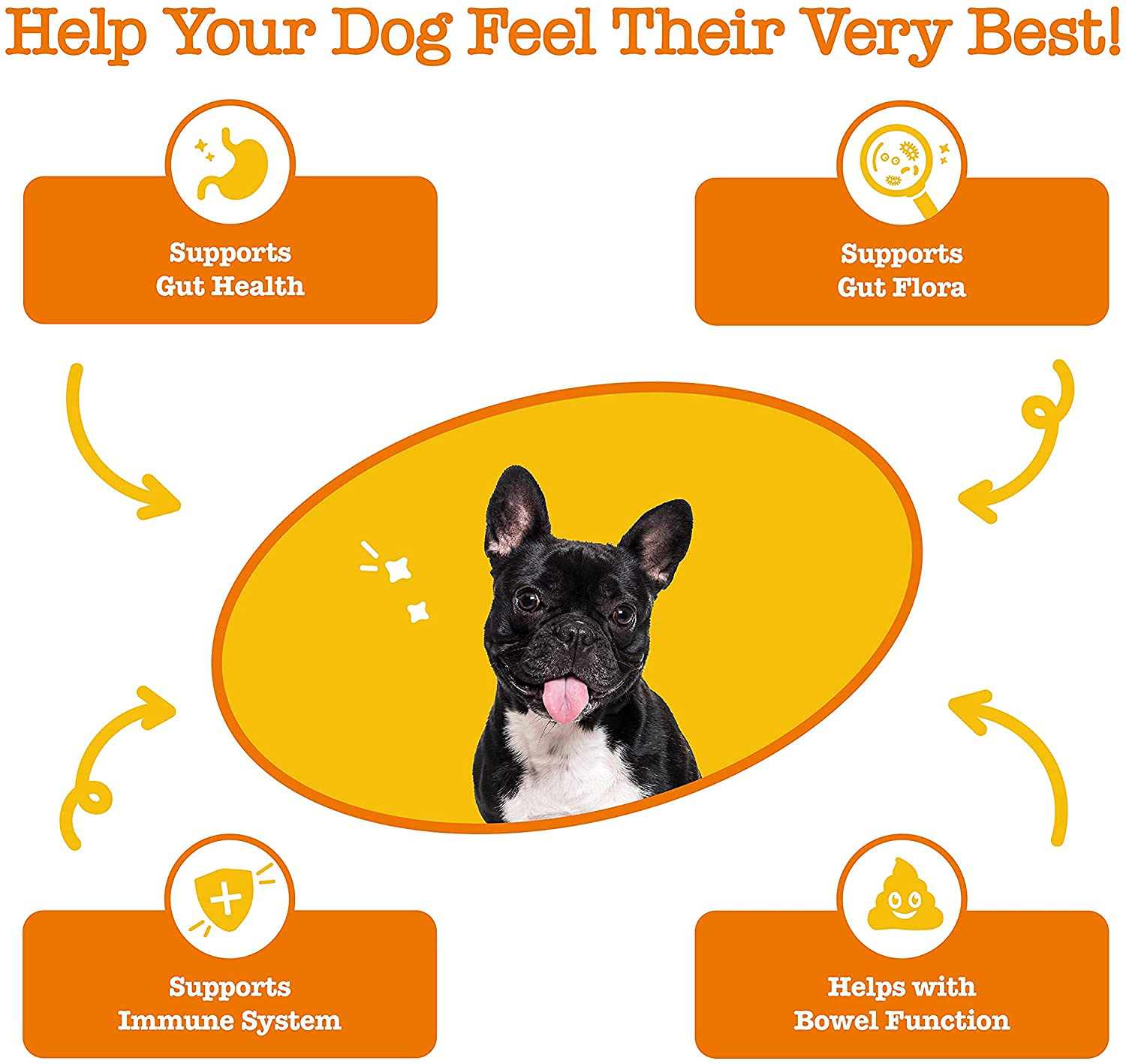 Zesty Paws Probiotic for Dogs - Probiotics for Gut Flora, Digestive Health, Occasional Diarrhea & Bowel Support - Clinically Studied DE111 - Functional Dog Supplement Soft Chews for Pet Immune System