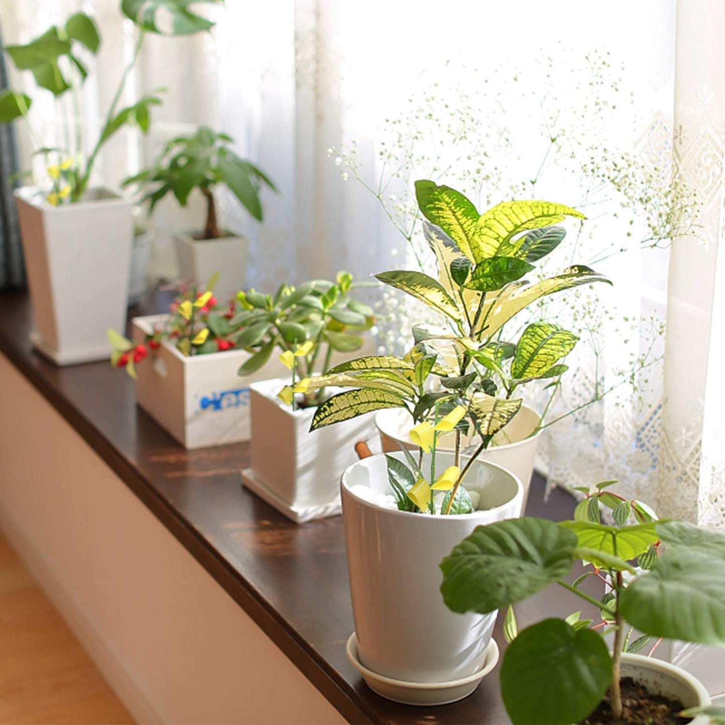 Garsum Sticky Houseplant Traps Gnat Yellow Insect Trap Indoor Fruit Fly Stakes Trap(42 Traps)