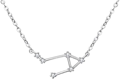 925 Sterling SilverCZ Horoscope Zodiac 12 Constellation Astrology Pendant Necklace for Women Girls Teen Girls and Kids Birthday Gift