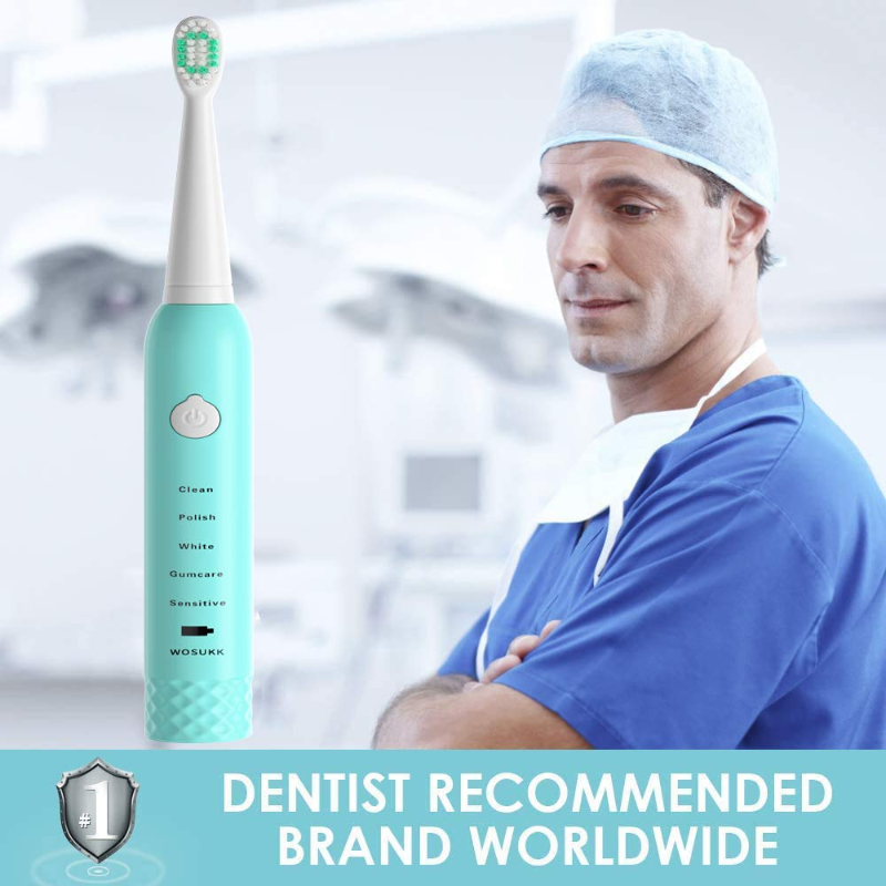 Sonic Electric Toothbrush -5 Modes with Smart Timer, Waterproof USB Charging Rechargeable Ultrasonic Toothbrushes, 4 Replacement Brush Heads