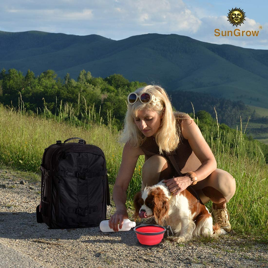 SunGrow Collapsible Bowls, Food and Water Feeder for Camping, Travel, Food-Grade, Carabiner Clip for Easy Storage, Dishwasher Friendly, Low Footprint, Feed Dog/cat Anywhere, 2 Pack