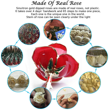 Gold Dipped Rose, Sinvitron Long Stem 24k Gold Dipped Real Rose Lasted Forever with Stand, Best Anniversary Gifts for Her