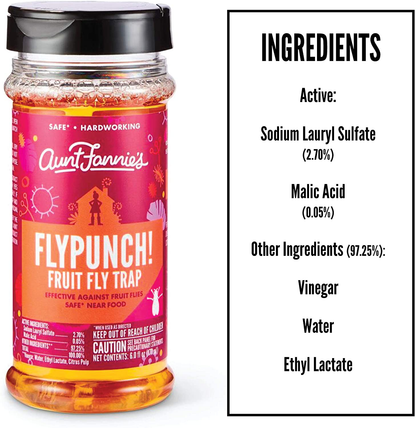 Aunt Fannie's FlyPunch - Fruit Fly Trap, Kill Fruit Flies, for Indoor Use (12-Pack)