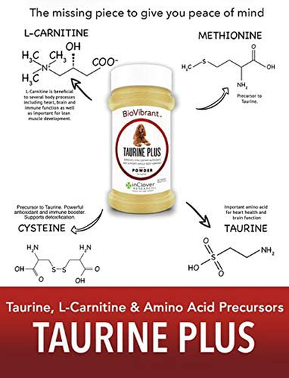 InClover, Dog Heart Health Supplement BioVibrant, Helps Support Dog Heart Health, Dog Supplement Treat Powder with Taurine Helps Pet Heart Health and Dog Weight Management, Dog Immune Support