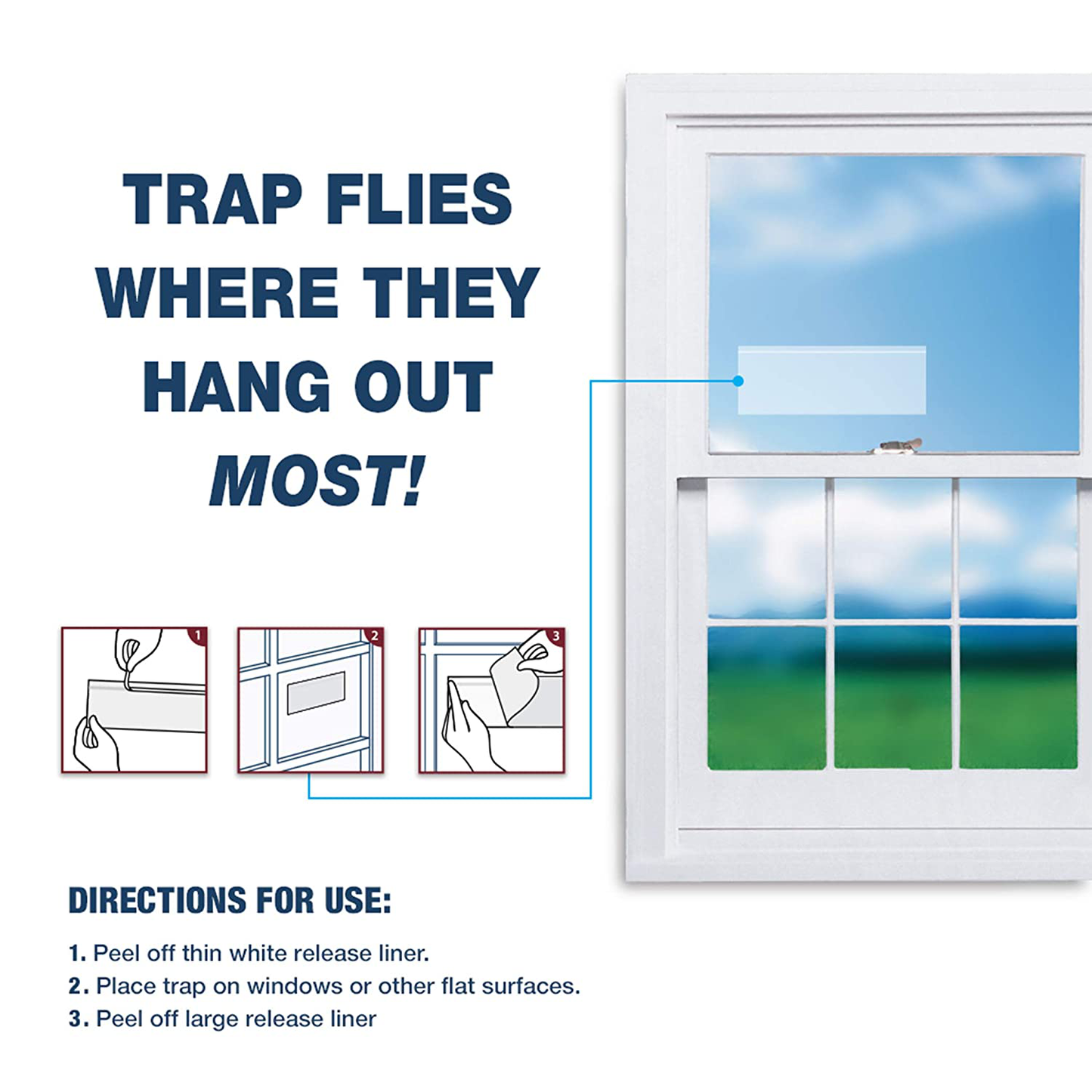 Catchmaster Bug & Fly Clear Window Fly Traps - Pack of 12 Traps