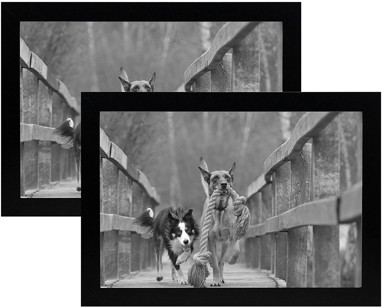 8x12 Black Gallery Picture Frame 2-Pack - Wide Molding - Includes Both Attached Hanging Hardware and Desktop Easel - Display Pictures 8 x 12 Inches - Eight by Twelve - Two Frames