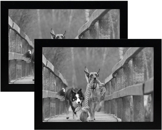 8x12 Black Gallery Picture Frame 2-Pack - Wide Molding - Includes Both Attached Hanging Hardware and Desktop Easel - Display Pictures 8 x 12 Inches - Eight by Twelve - Two Frames