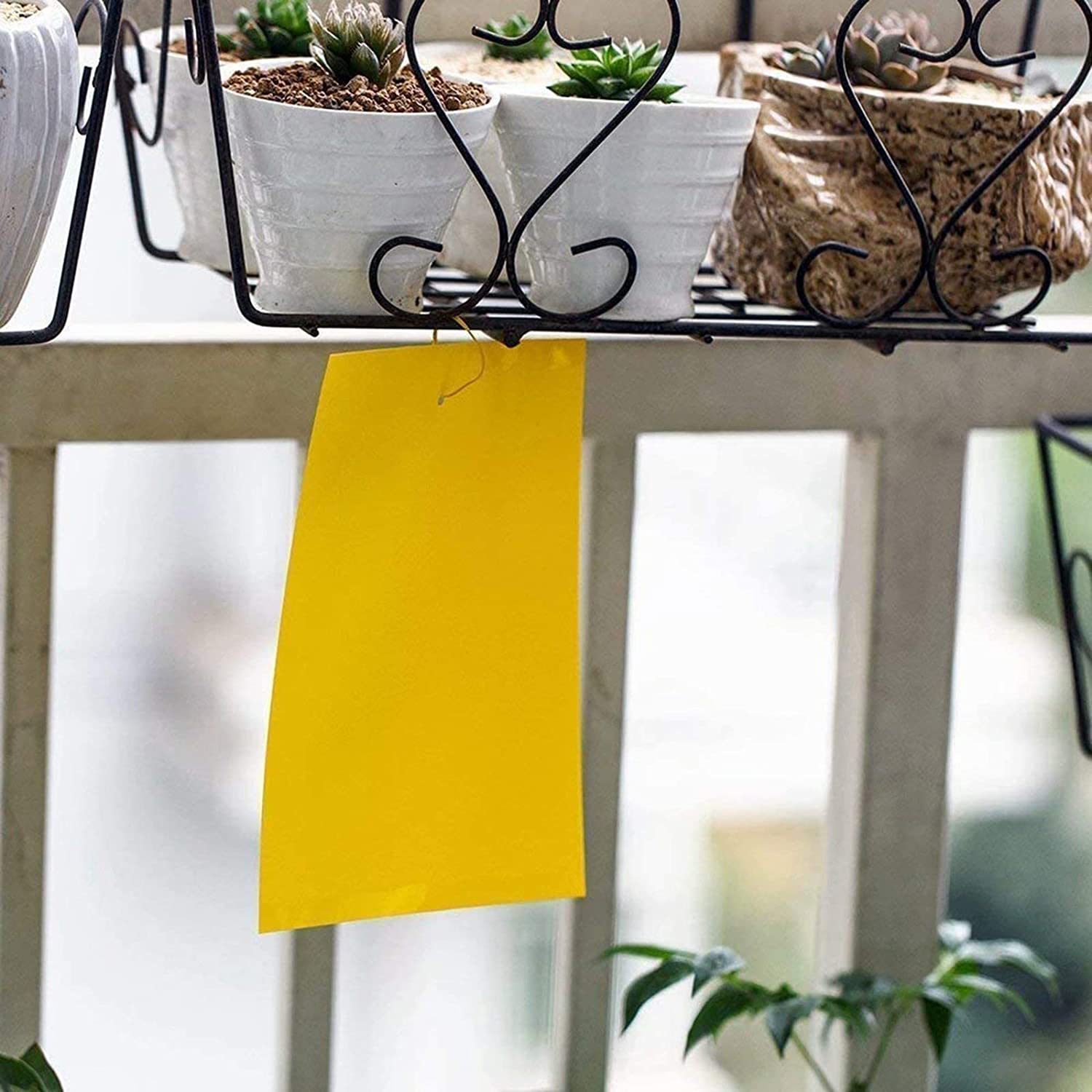 20 Pack Dual-Sided Yellow Sticky Traps for Flying Plant Insect Like Fungus Gnats, Aphids, Whiteflies, Leafminers