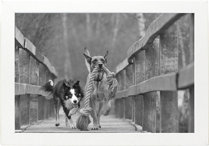 8x12 Black Gallery Picture Frame 2-Pack - Wide Molding - Includes Both Attached Hanging Hardware and Desktop Easel - Display Pictures 8 x 12 Inches - Eight by Twelve - Two Frames