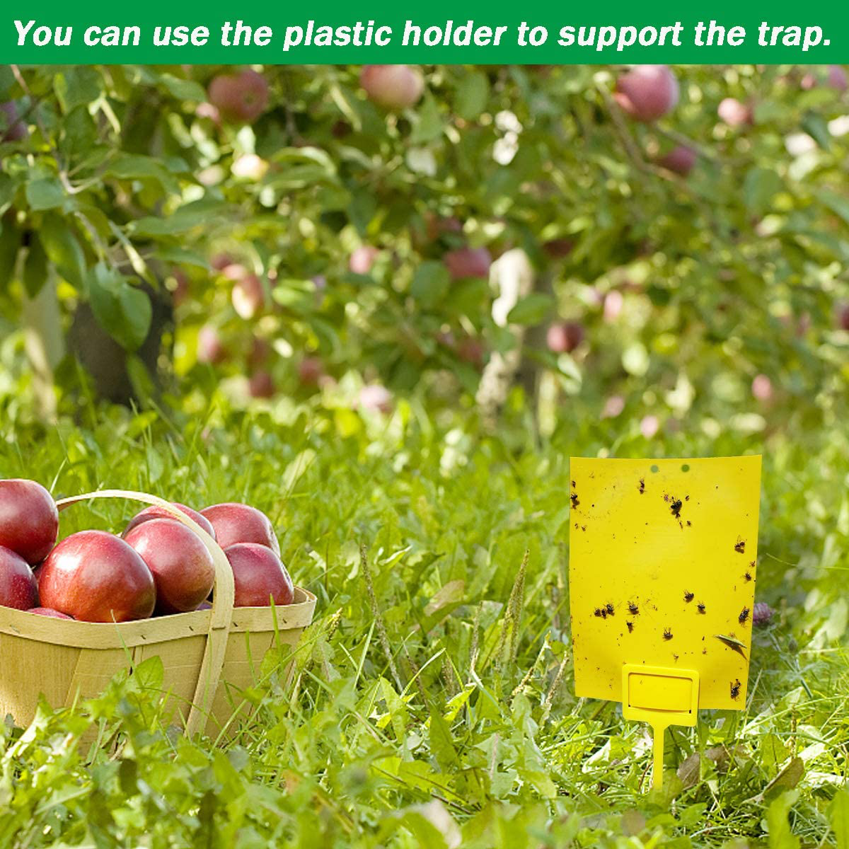 50 Sheets Yellow Sticky Traps, Fruit Fly Traps, for Indoor and Outdoor, Include Twist Ties and Plastic Holders
