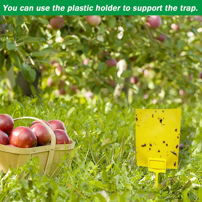 50 Sheets Yellow Sticky Traps, Fruit Fly Traps, for Indoor and Outdoor, Include Twist Ties and Plastic Holders