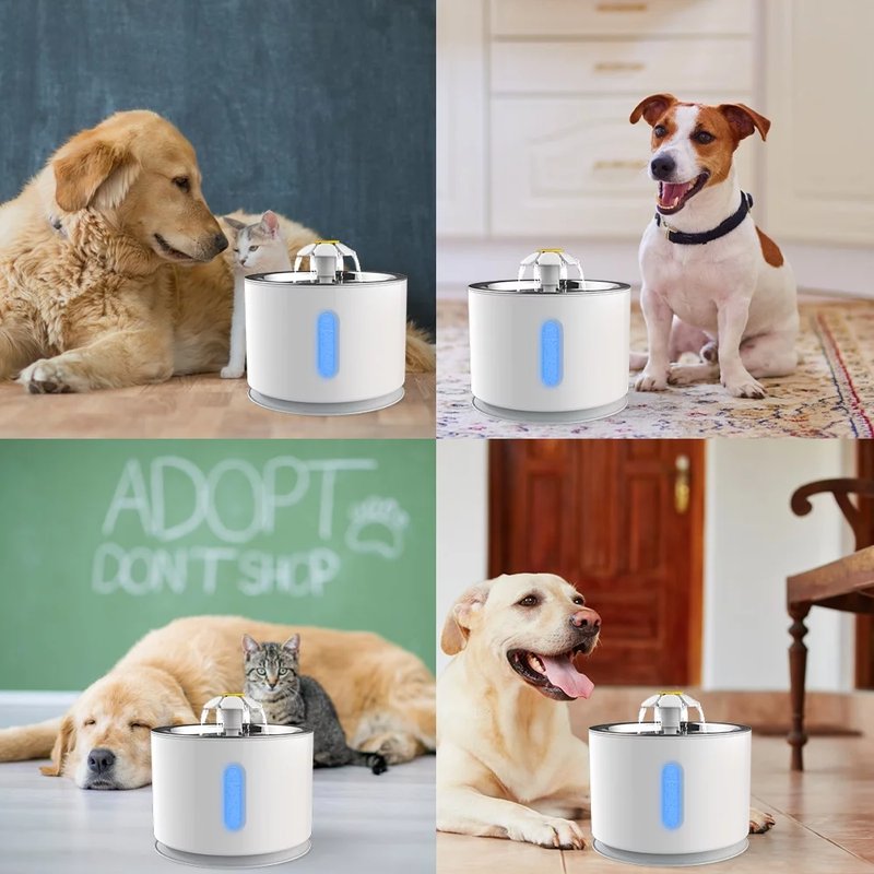 80oz Pet Fountain - Automatic Water Dispenser for Cats and Dogs, Circulating Filtration System