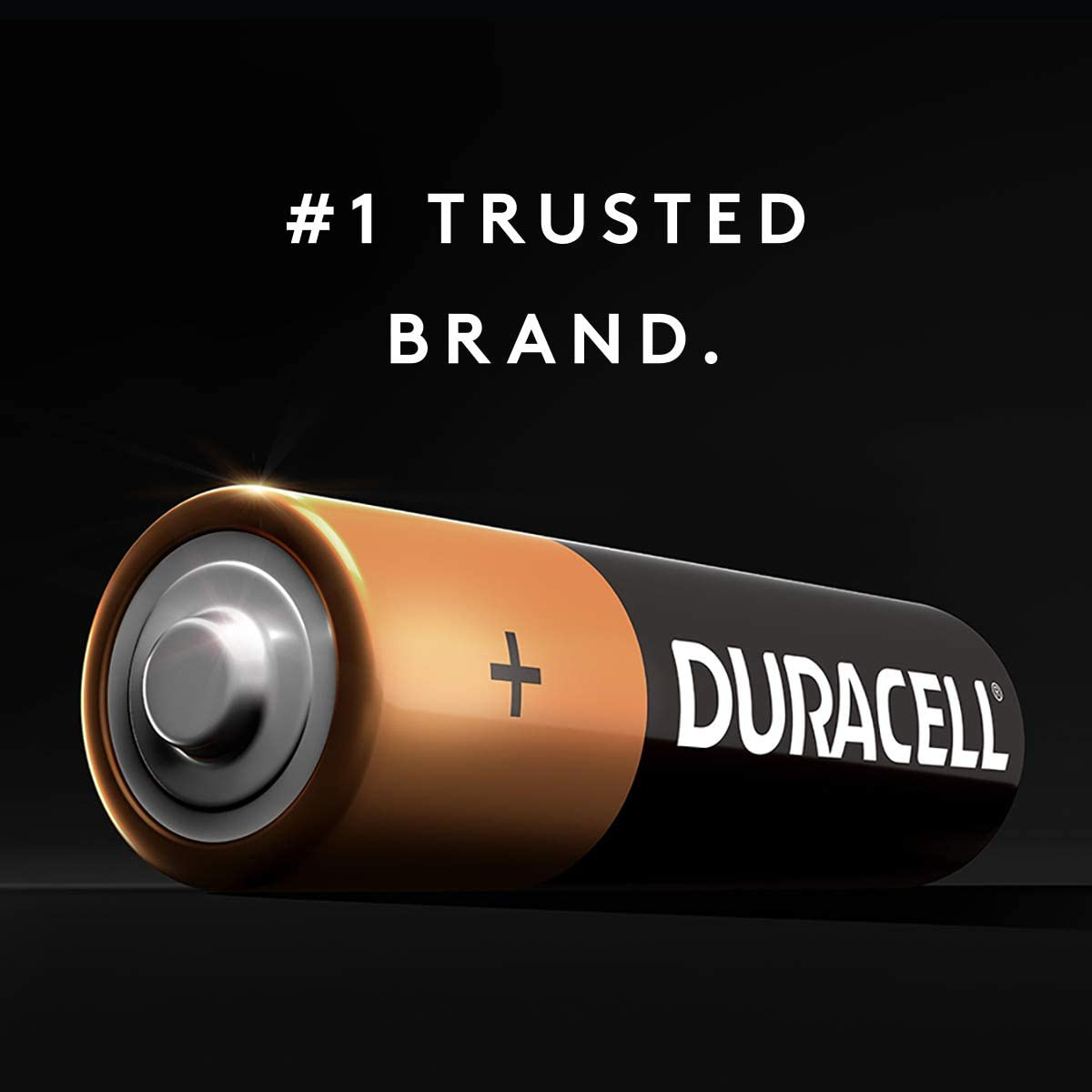Duracell - CopperTop AAA Alkaline Batteries - Long Lasting, All-Purpose Triple A Battery for Household and Business - 20 Count