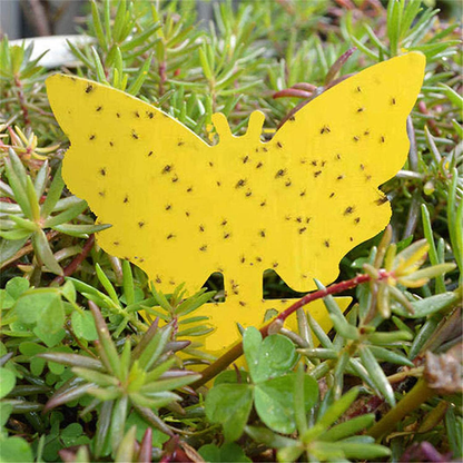 48 Pcs Sticky Fly Traps, Yellow Fruit Fungus Gnat Trap Killer for Indoor and Outdoor, Protect The Plant