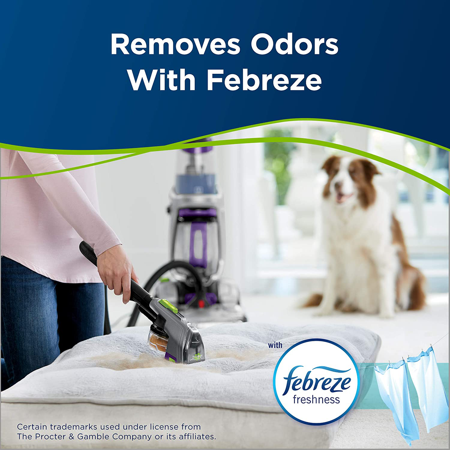 BISSELL Professional Pet Urine Elimator with Oxy and Febreze Carpet Cleaner Shampoo