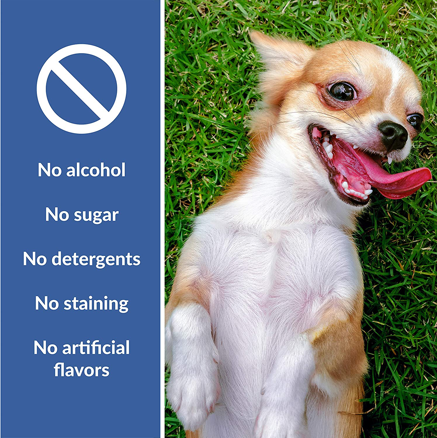 Dental Fresh Advanced Whitening Water Additive for Dogs – Reduce Surface Stains, Reverse Discoloration, Eliminate Bad Breath, Improve Oral Health
