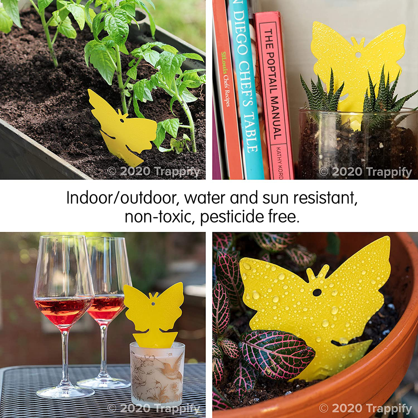 12 Insect Catchers for White Flies, Mosquitos, Fungus Gnats, Flying Insects - Disposable Glue Traps