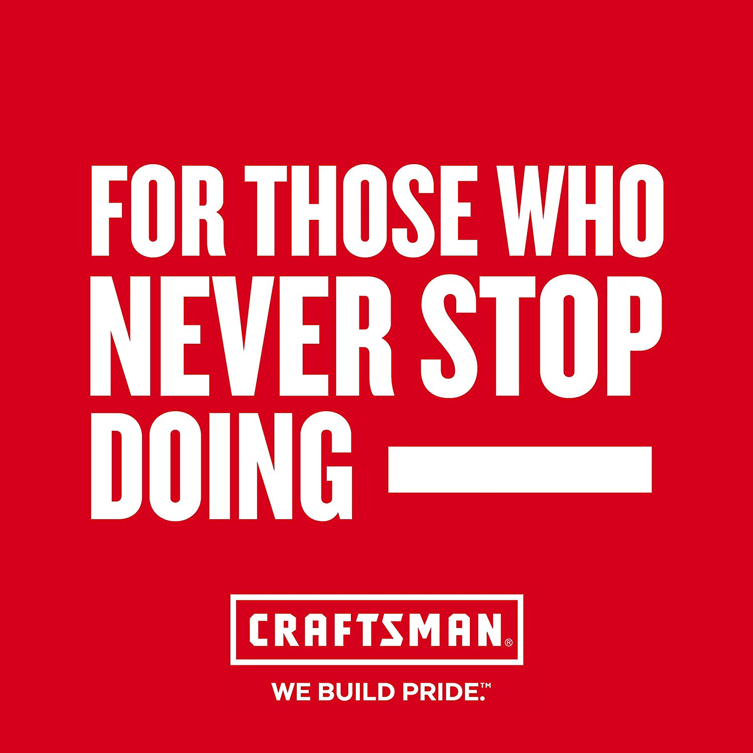 CRAFTSMAN Torpedo Level, 9-Inch (CMHT82390)