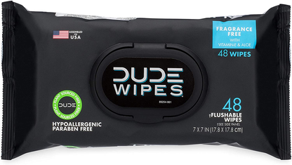 DUDE Wipes Flushable Wipes Dispenser, 48 Count (Pack of 1)