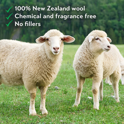 Wool Dryer Balls 6-Pack, XL Size, 100% Organic New Zealand Wool, Reusable and Handmade. Natural Fabric Softener, Reduce Wrinkles and Decrease Drying Time (White)