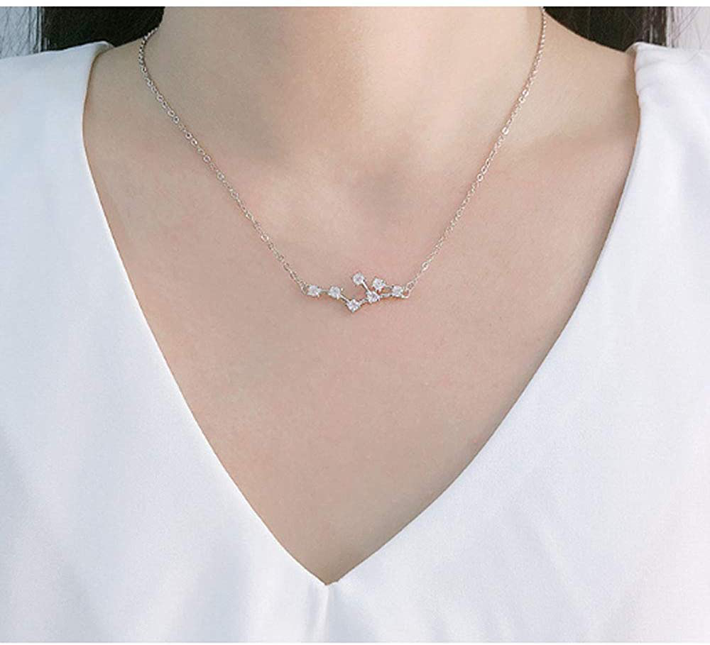 925 Sterling SilverCZ Horoscope Zodiac 12 Constellation Astrology Pendant Necklace for Women Girls Teen Girls and Kids Birthday Gift