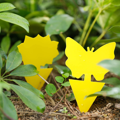 Sticky Trap,Fruit Fly and Gnat Trap Yellow Sticky Bug Traps for White Flies,Mosquitos,Fungus Gnats,Flying Insects