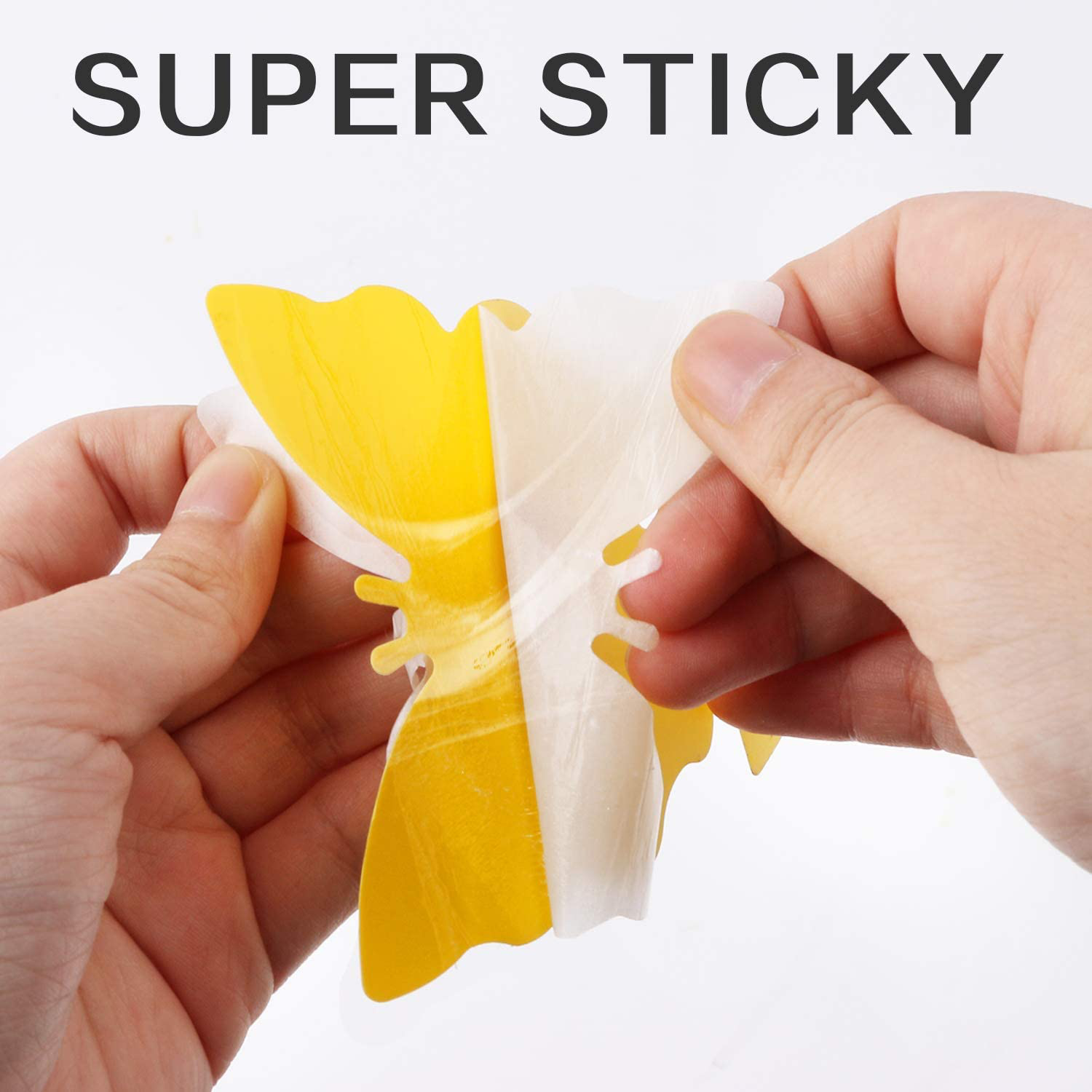 Mosqueda Fruit Fly Traps Fungus Gnat Traps Yellow Sticky Bug Traps 36 Pack Non-Toxic and Odorless for Indoor Outdoor Use Protect The Plant